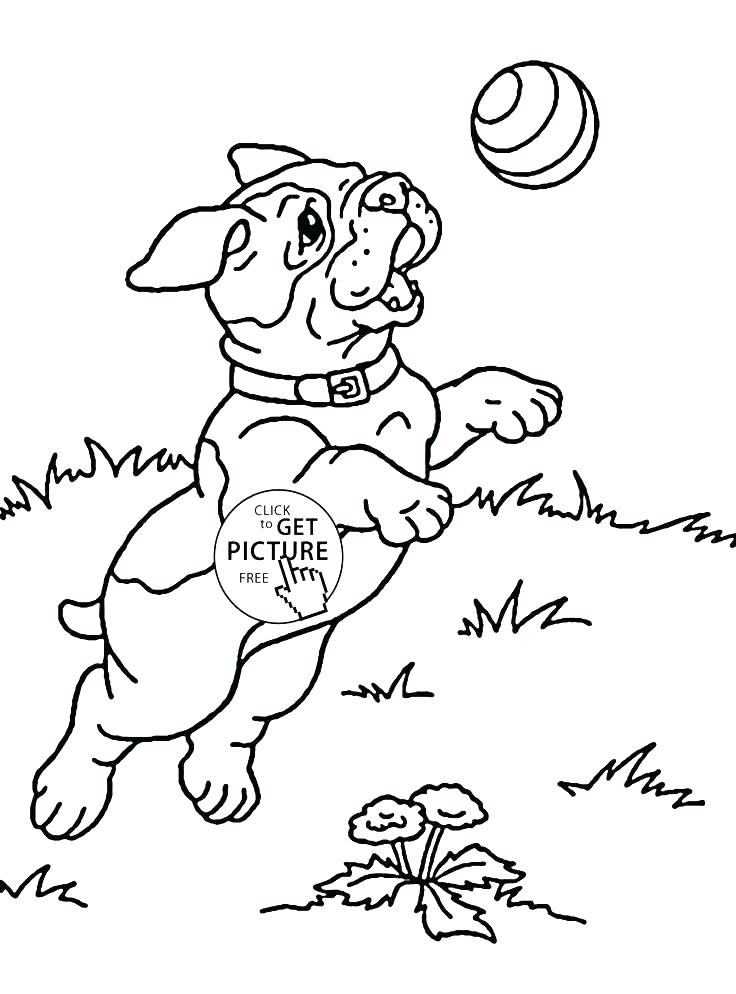 736x994 Childrens Coloring Pages Animals Vanda