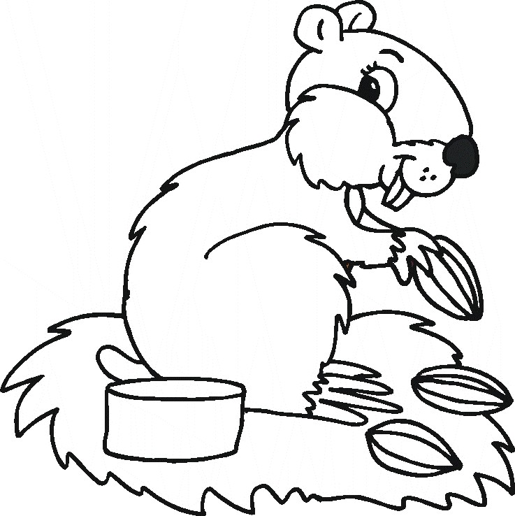 737x738 Coloring Pages Of Animals The Sun Flower Pages