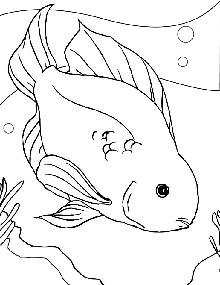 736x952 Best Animals Images On Children Coloring Pages