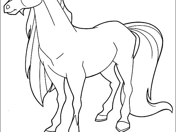 567x425 Horseland Coloring Pages X A Next Image A Wallpaper Coloring Pages