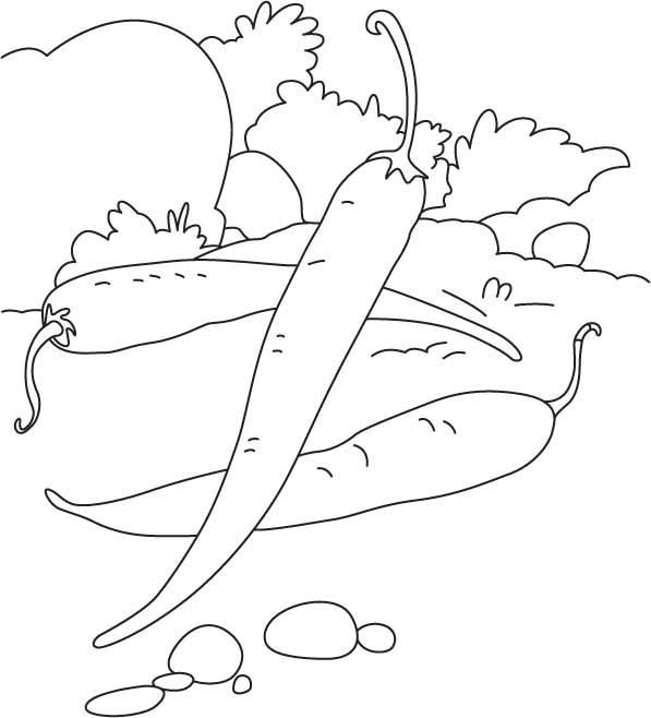 597x658 Three Chillies In The Field Coloring Page Download Free Three