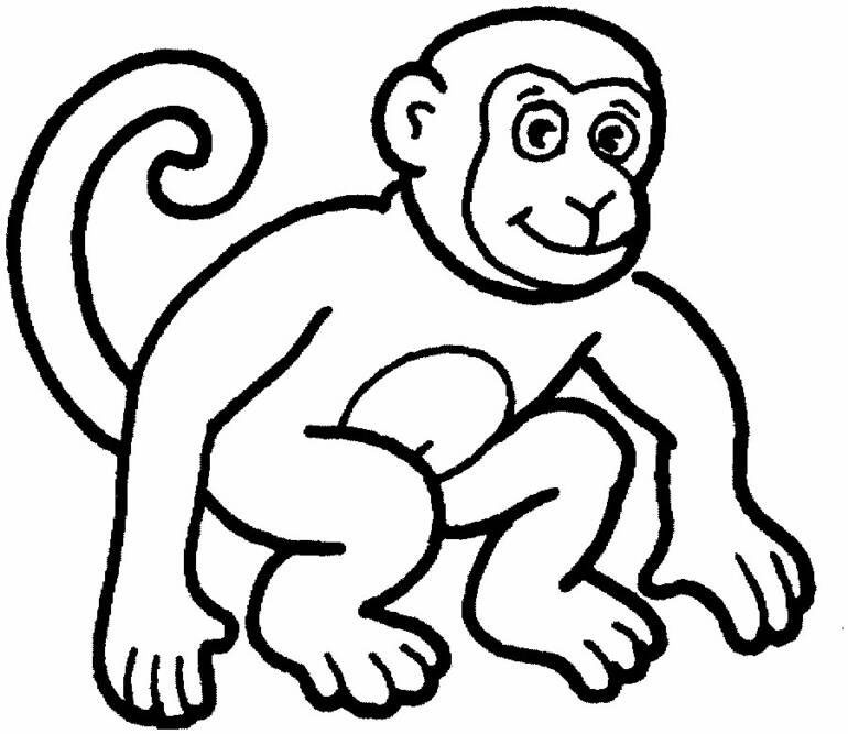770x667 Glamorous Coloring Pages Of A Monkey Printable To Tiny Coloring