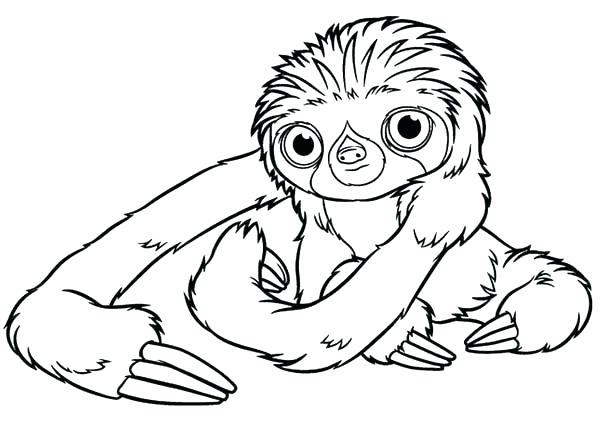 600x428 Sloth Coloring Page Sloth Coloring Pages Coloring Pages Sloth Page