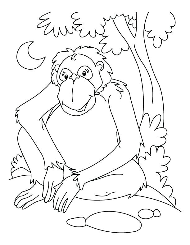 612x792 Chimpanzee Coloring Pages