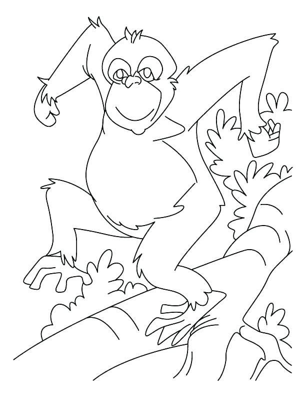 612x792 Chimpanzee Coloring Page Chimpanzee Coloring Pages Chimpanzee