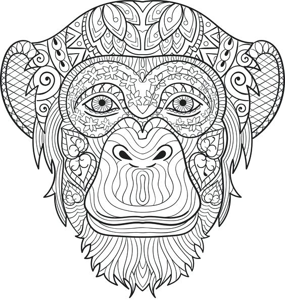564x599 Chimpanzee Coloring Pages Chimpanzee Coloring Pages Baby