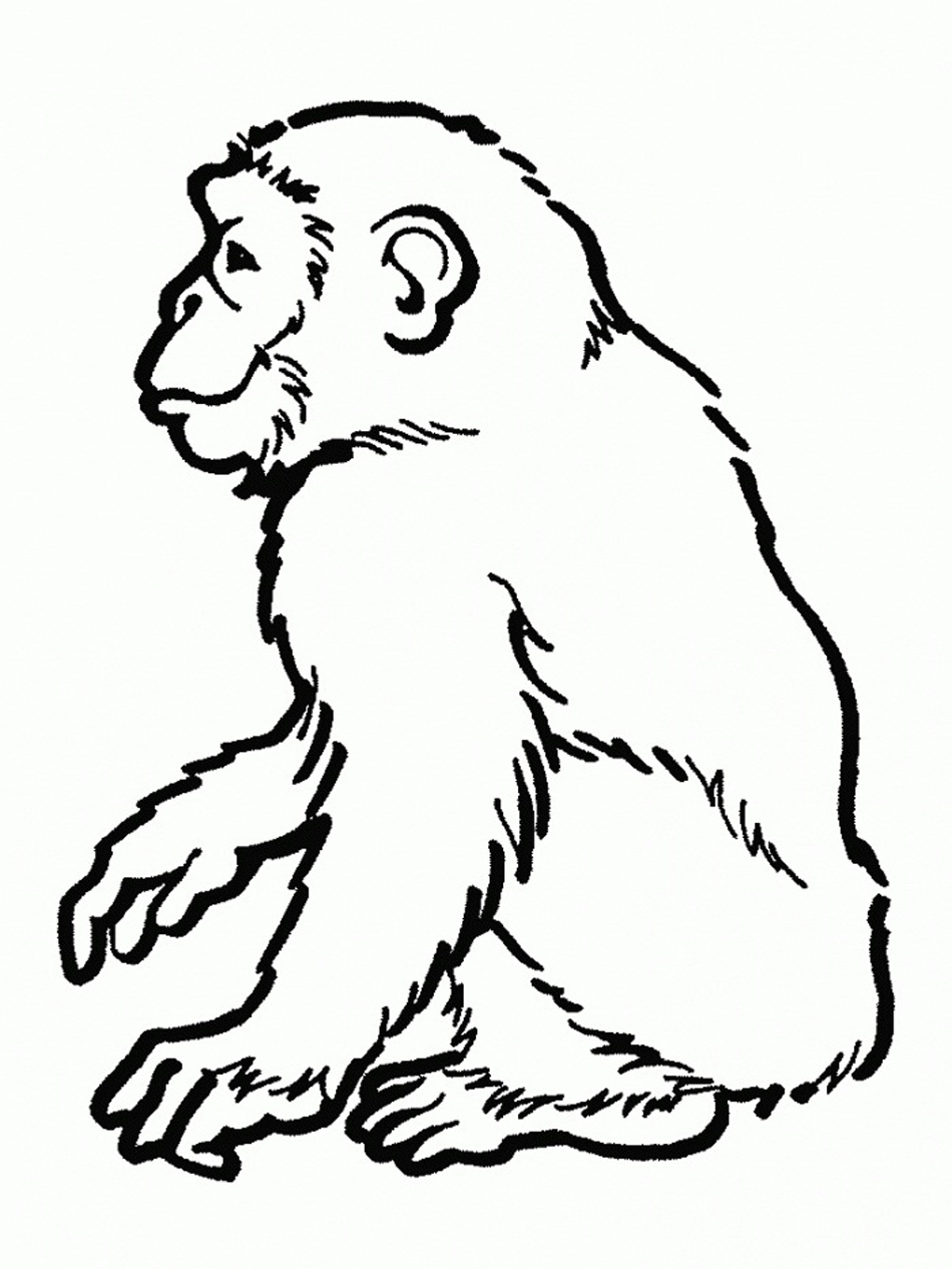 950x1266 Free Printable Chimpanzee Coloring Pages For Kids