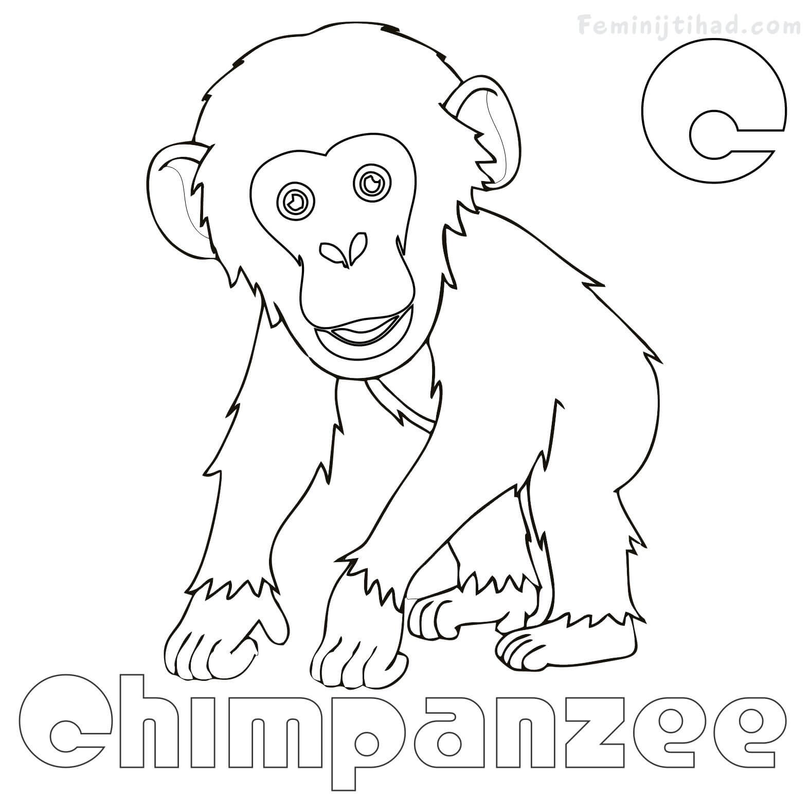 1575x1575 Luxury Chimpanzee Coloring Page Pictures