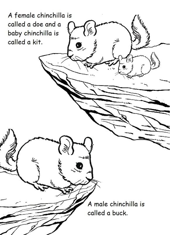 581x800 Fuzzy Tales Kids