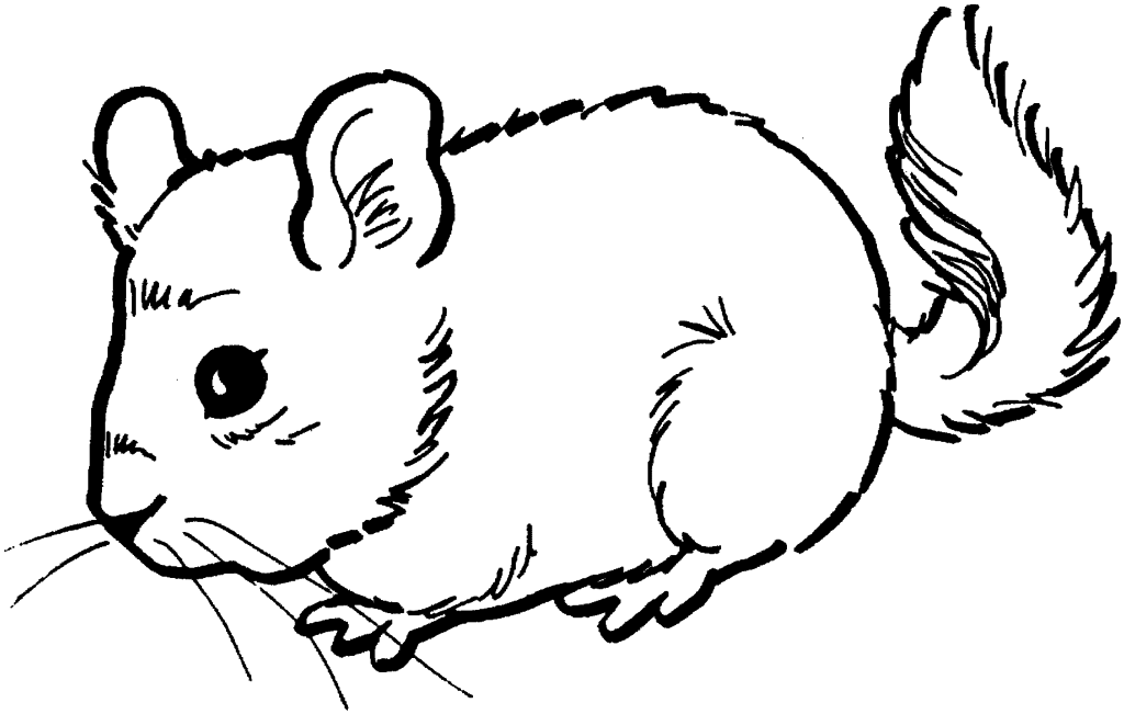 1024x651 Mice Coloring Page Az Coloring Pages Deer Mouse Coloring Page