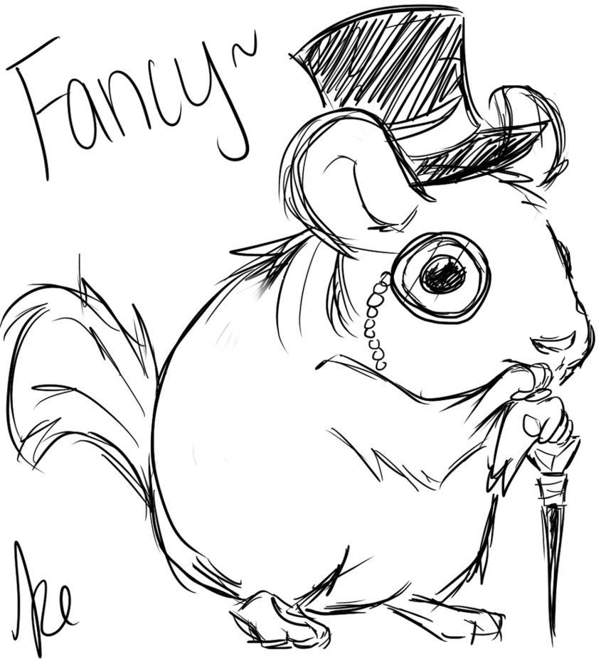 852x937 Chinchilla Chinchilla Memes Art Chinchillas