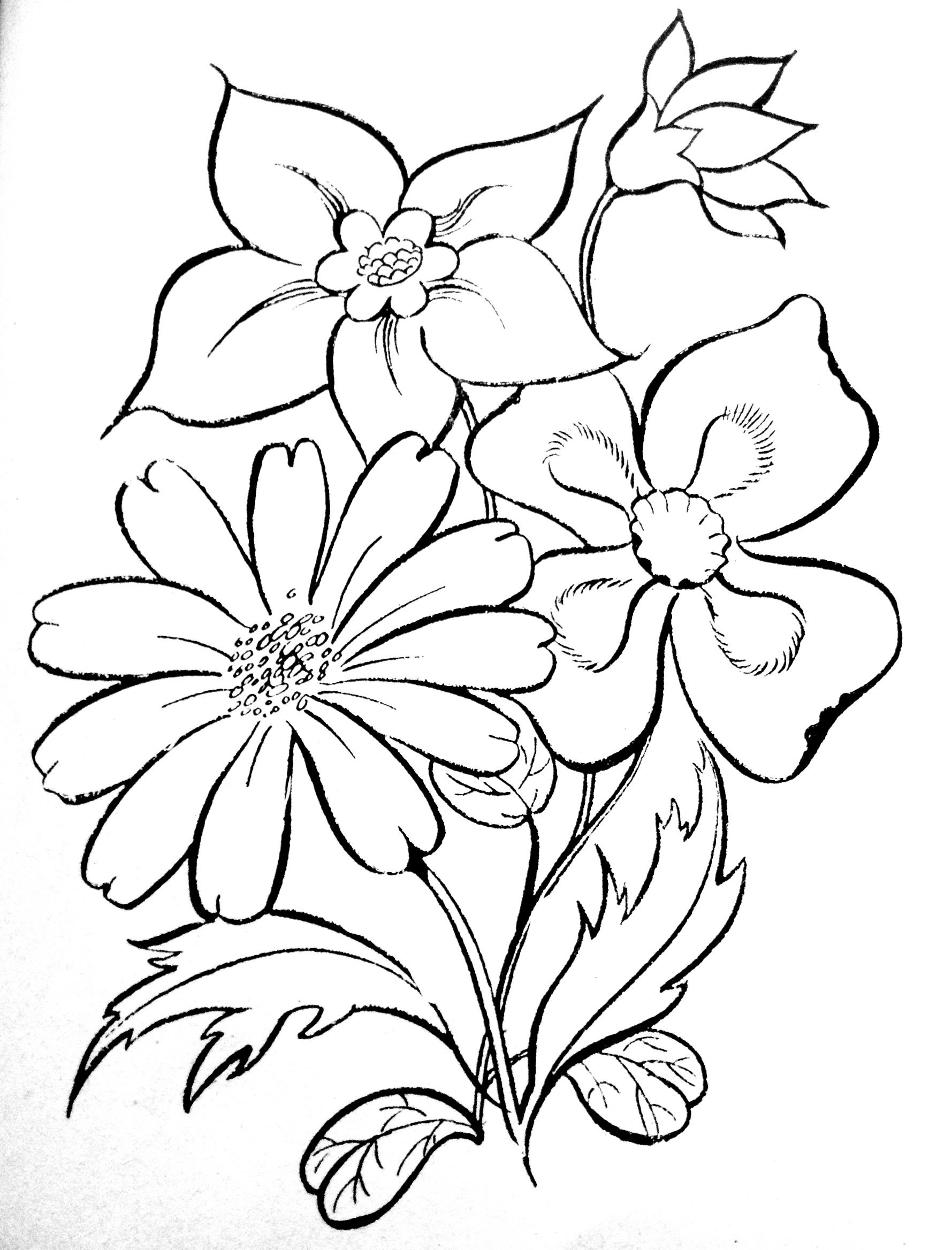 1779x2336 Coloring Pages Basic Patterns