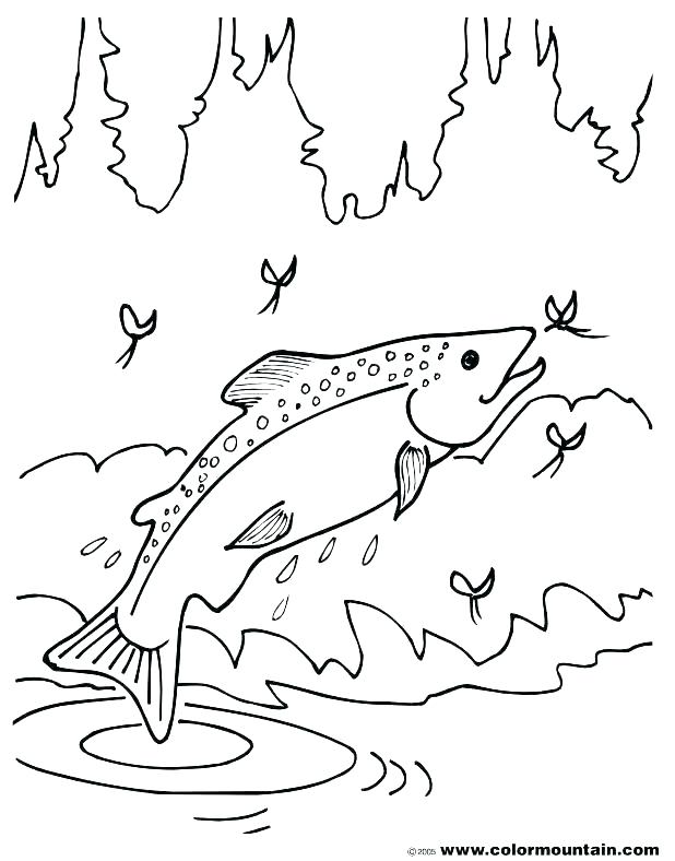 618x788 Chinook Animal Coloring Pages Coloring Ideas Pro
