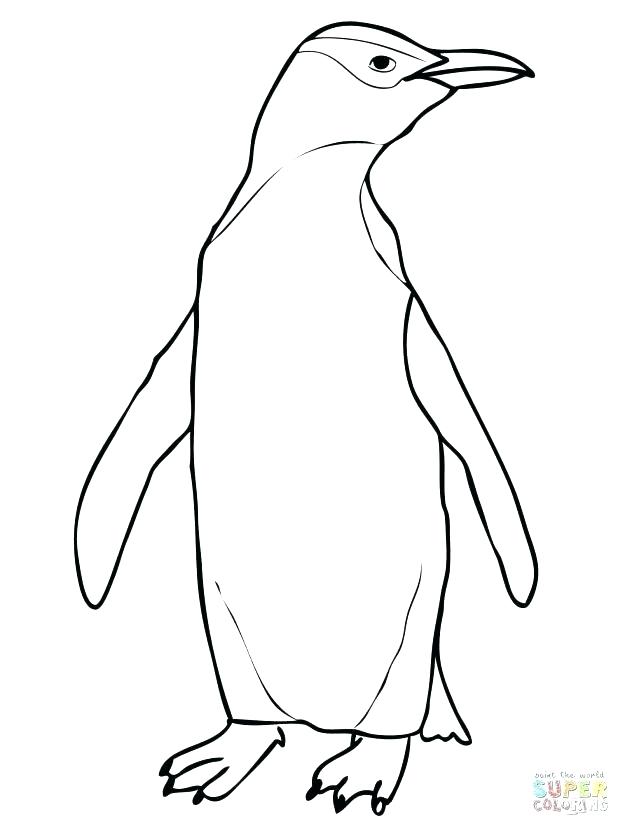 618x824 Cute Penguin Coloring Pages A Cartoon Drawing Of Cute Baby Penguin
