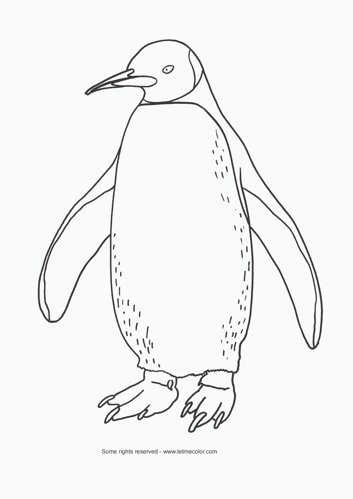 1131x1600 Penguin Coloring Page Inspirational Chinstrap Penguin Coloring