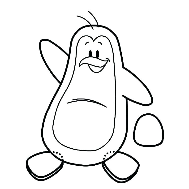 800x800 Penguin Coloring Pictures Chinstrap Penguin Coloring Page Free