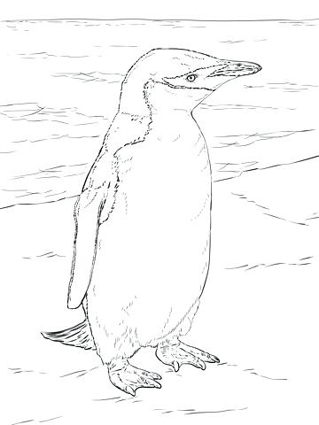 360x480 Printable Penguin Face Mask Template Printable Coloring Realistic