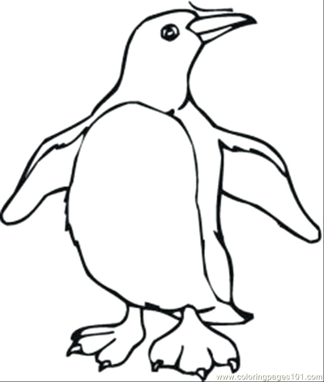 650x767 Penguin Color