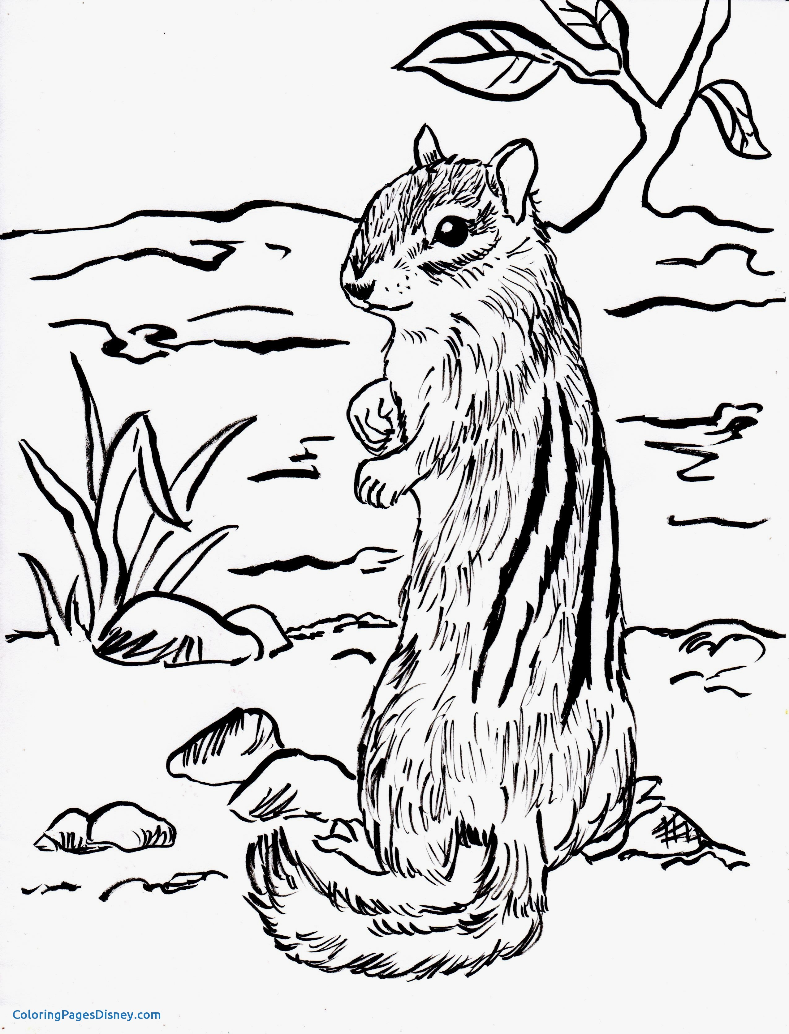 2550x3344 Alvin And The Chipmunks Coloring Pages Best Of Chipmunk Coloring