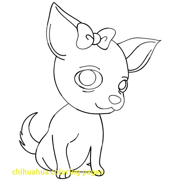 600x627 Chihuahua Coloring Pages