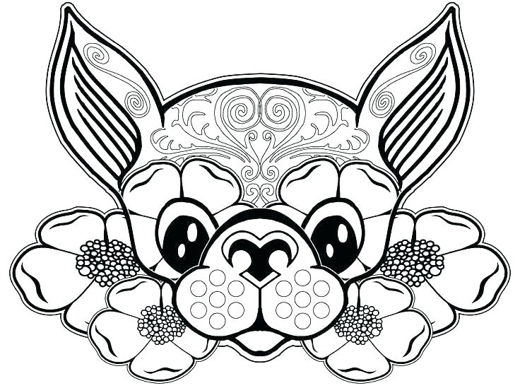736x549 Chihuahua Coloring Pages Chihuahua Coloring Pages Online