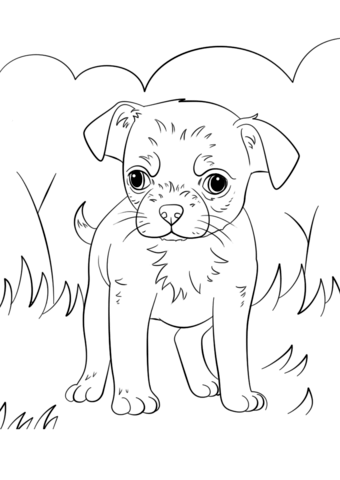 340x480 Chihuahua Coloring Pages Chihuahua Puppy Coloring Page