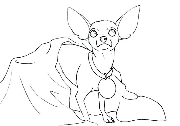 600x422 Chihuahua Coloring Pages For Chihuahua Dog Coloring Pages For Kids
