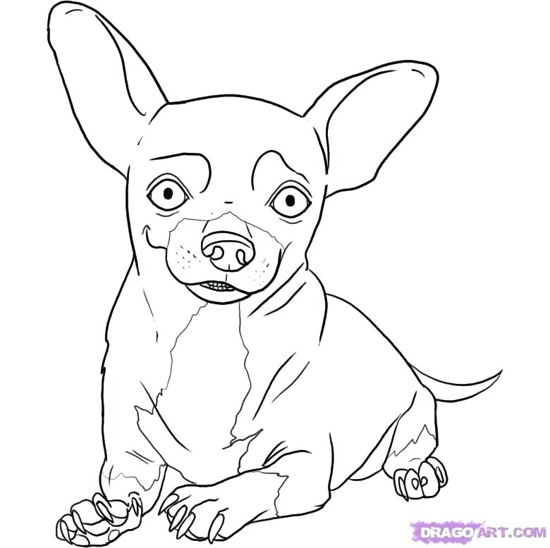 Chiwawa Coloring Pages at GetDrawings | Free download