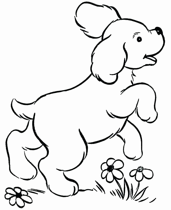 600x734 Coloring Pages Labrador Images Dogs Pictures To Color