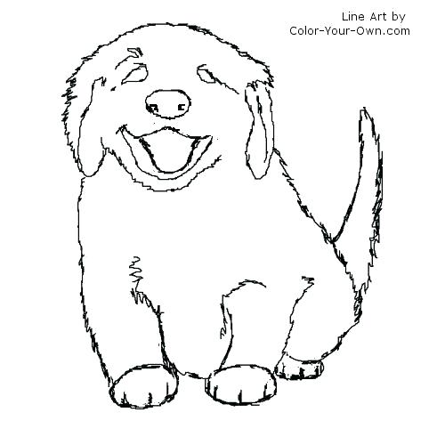500x500 Here Are Realistic Dog Coloring Pages Pictures Retriever Coloring