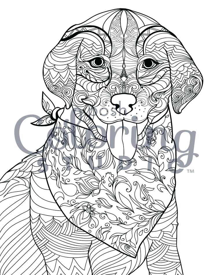 736x952 Labrador Coloring Pages Chocolate Lab Puppy Coloring Pages