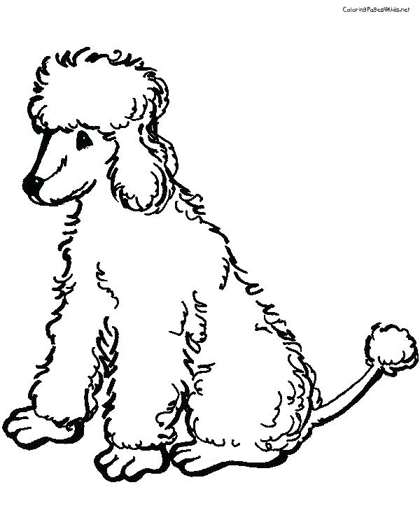 600x756 Standard Miniaturend Toy Poodles Coloring Page Free Printable