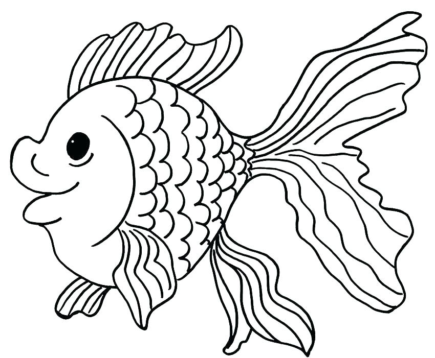 850x701 Coloring Rainbow Fish Coloring Page Chowder Pages As Drawn Gold