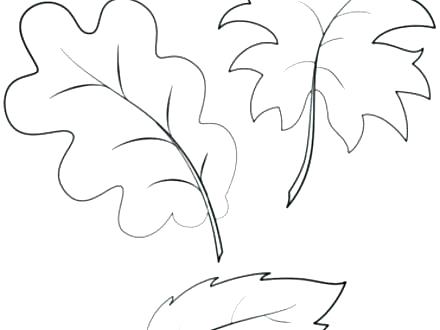 440x330 Kindergarten Coloring Pages Free Leaves Coloring Pages Fall