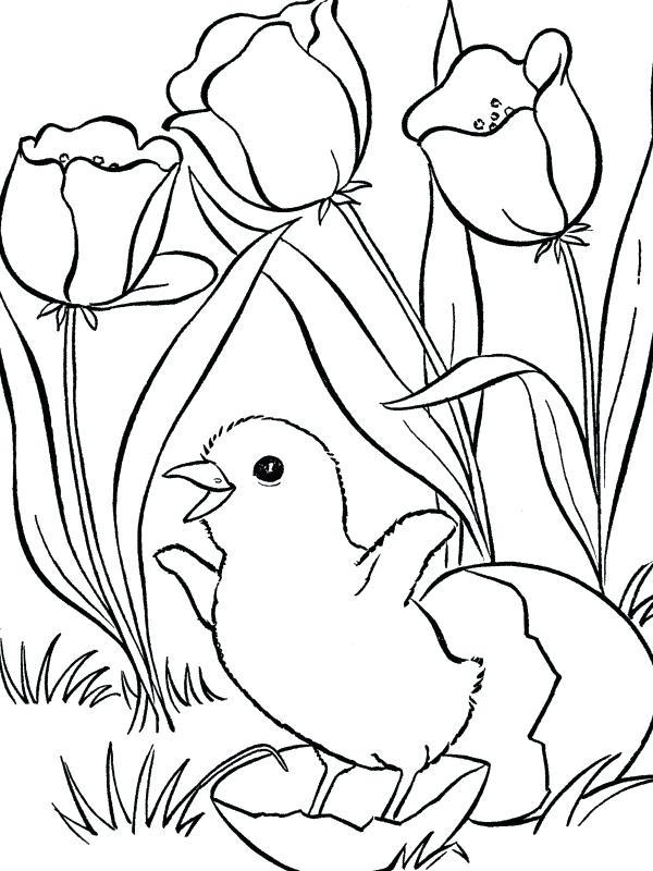 600x800 Spring Pictures Colouring Pages Free Christian Spring Coloring