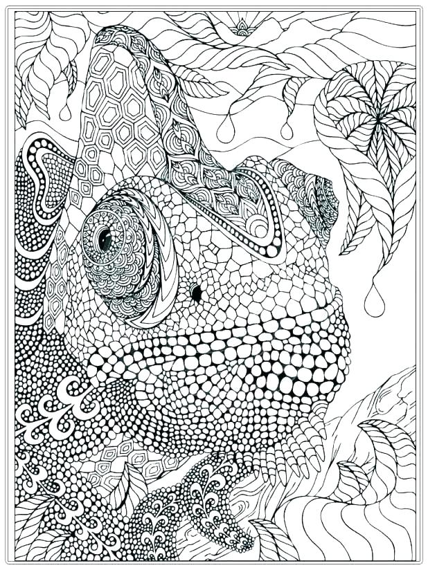 618x824 Advanced Coloring Pages To Print Advanced Coloring Pages