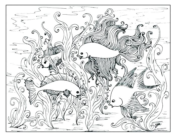 700x542 Advanced Coloring Pages Printable Advanced Mandala Coloring Pages