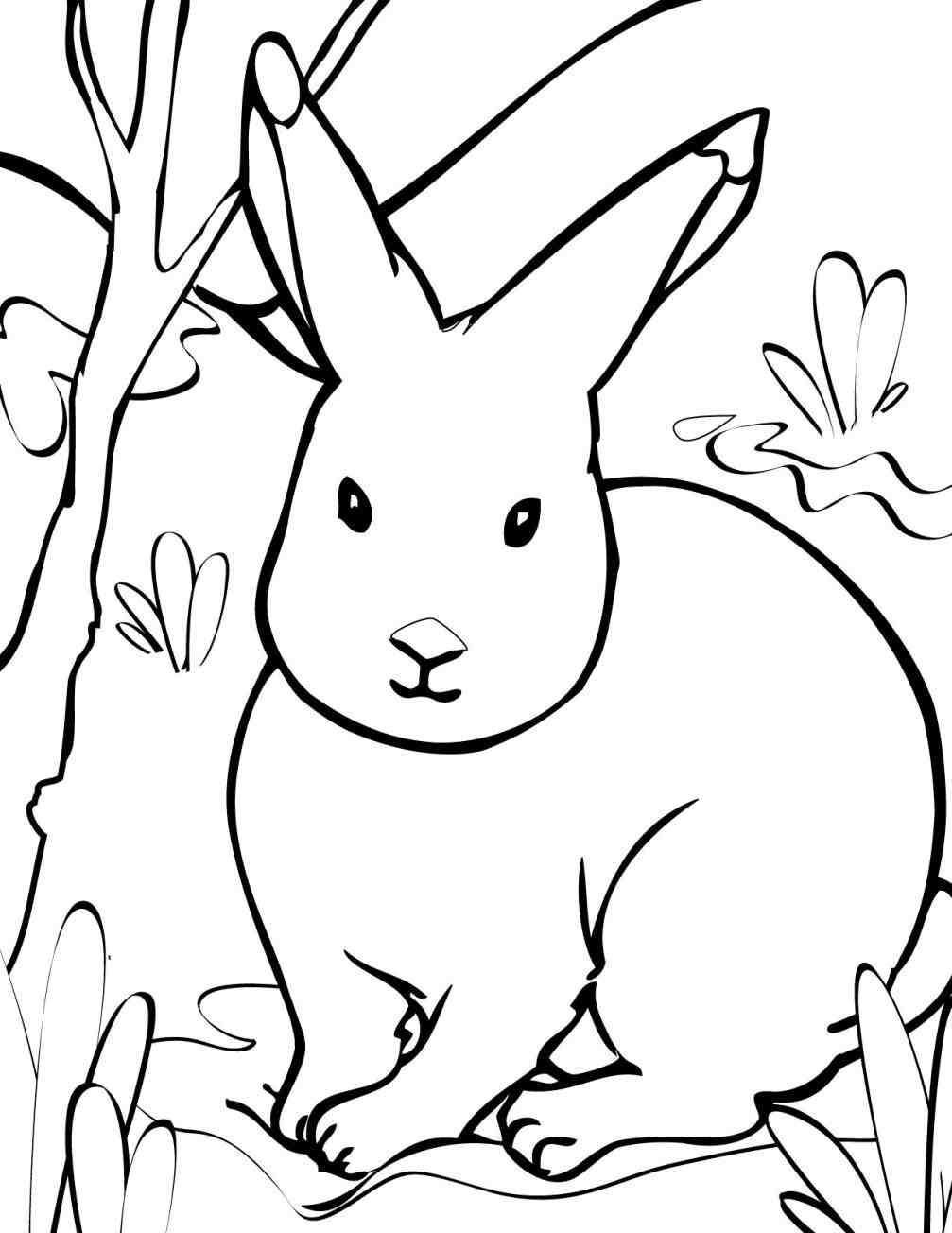 1007x1304 New Cute Christmas Animal Coloring Pages