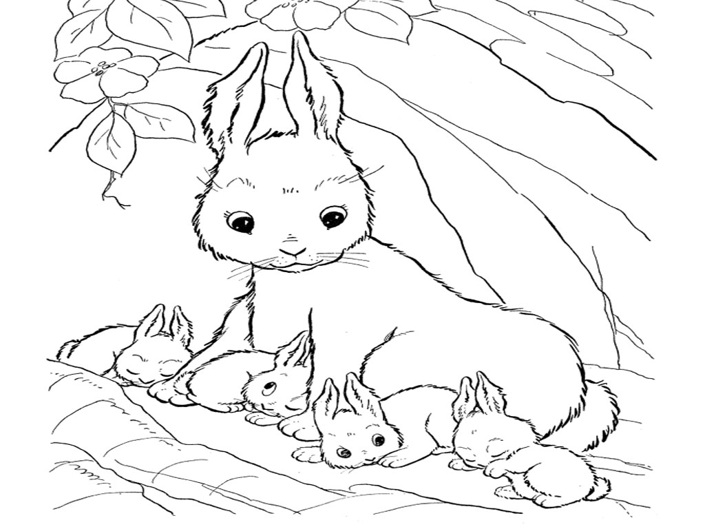 1024x768 Has Bunny Coloring Pages On With Hd Resolution Pixels
