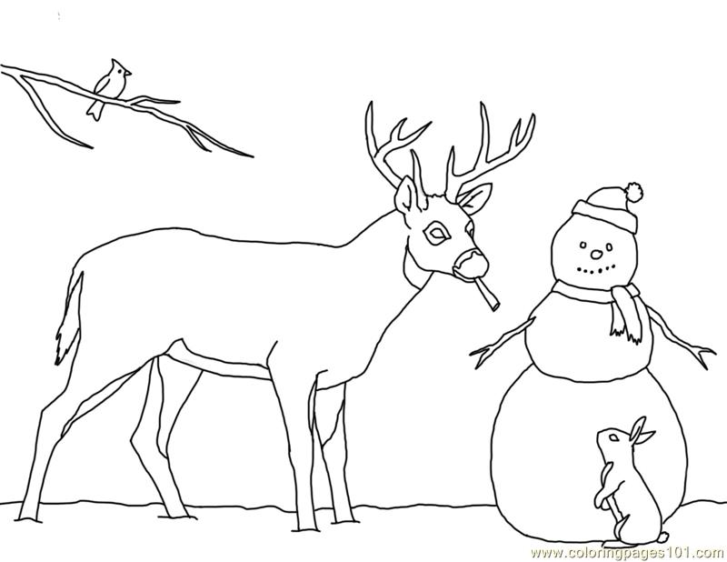 800x618 Christmas Card Deer Snowman Coloring Page