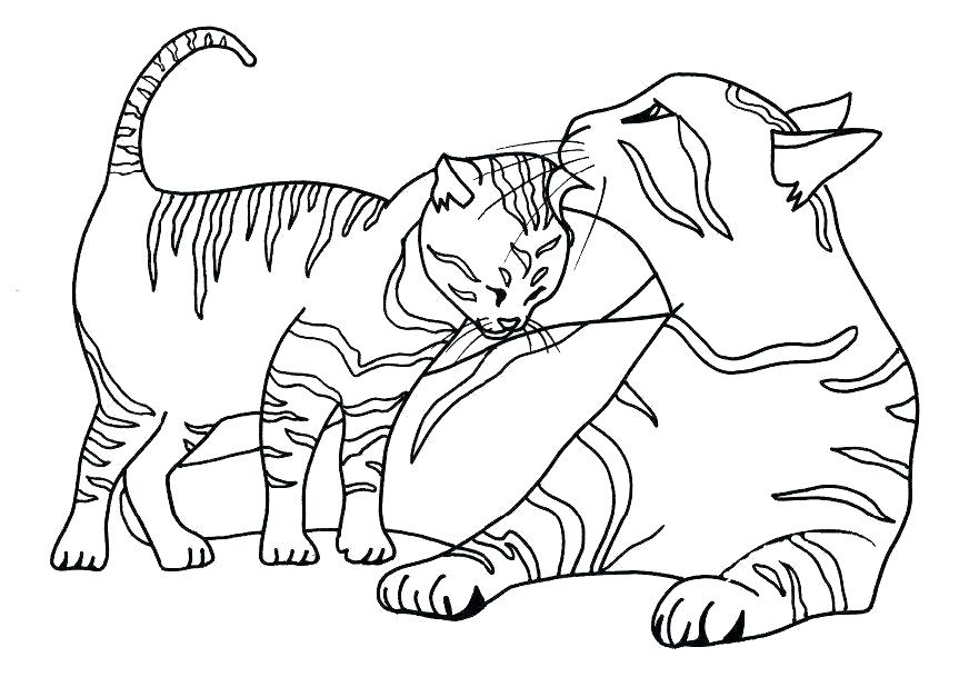 872x618 Christmas Cat Coloring Pages Printable Coloring Pages Cats Cat