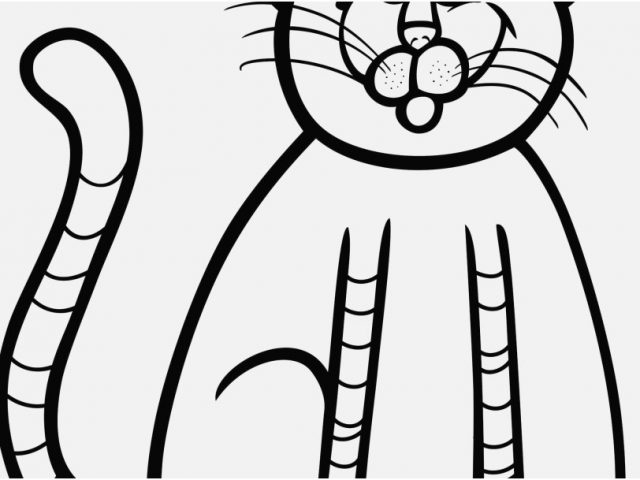 640x480 Cat Coloring Sheets Display Christmas Cat Coloring Pages