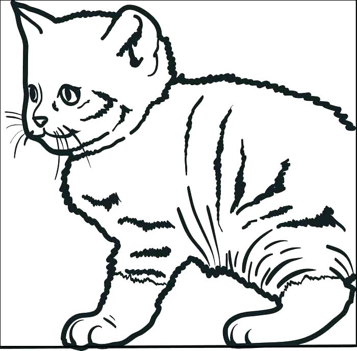 700x688 Christmas Cat Coloring Pages