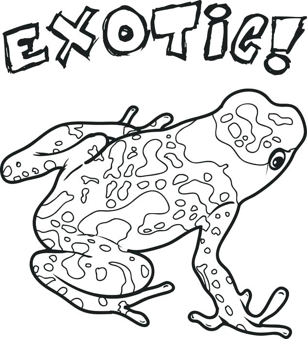 633x700 Coloring Pages Middle School Middle School Coloring Pages Summer
