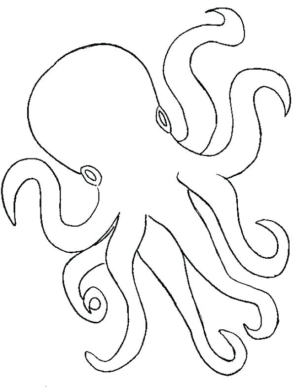 600x784 Octopus Color Page Octopus Outline Coloring Page Christmas