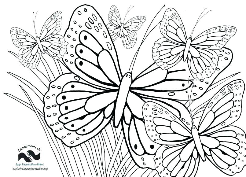805x579 Large Christmas Coloring Pages