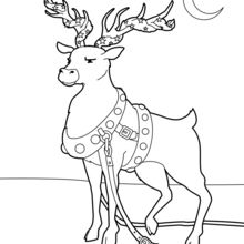 220x220 Christmas Reindeer Coloring Pages