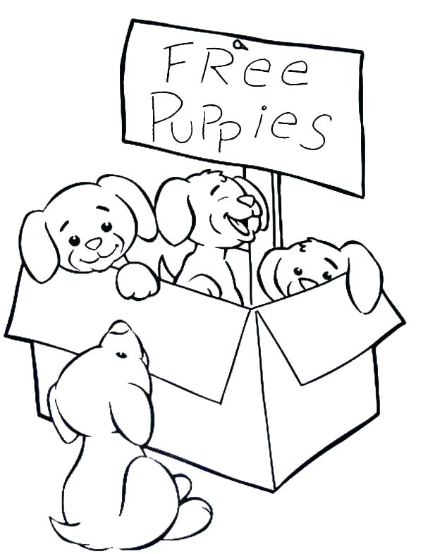 Christmas Coloring Pages Puppy at GetDrawings | Free download