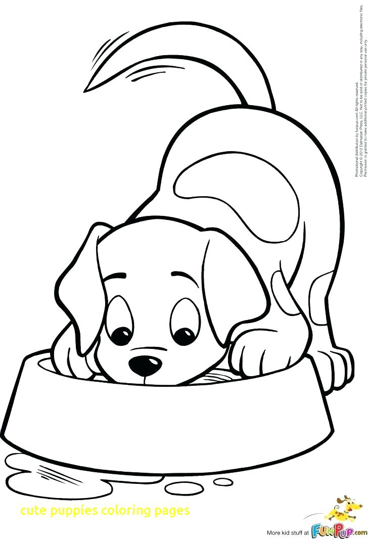 728x1066 Puppys Coloring Pages Puppy Colouring Pages Kittens And Puppies