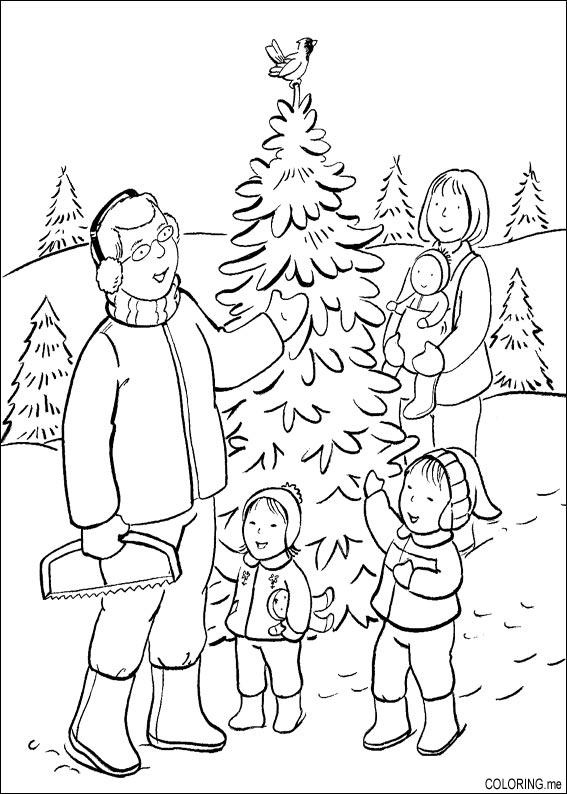 567x794 Coloring Page Christmas Day Choosing Tree